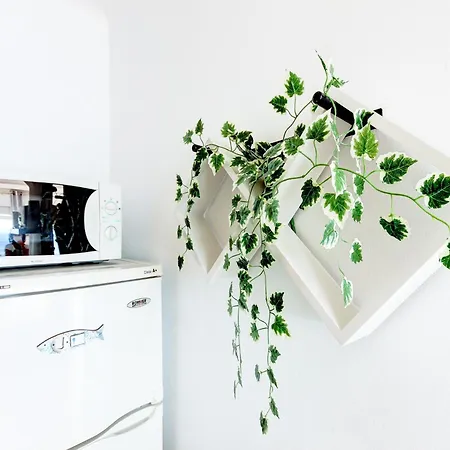 Apartament In Near Sea *